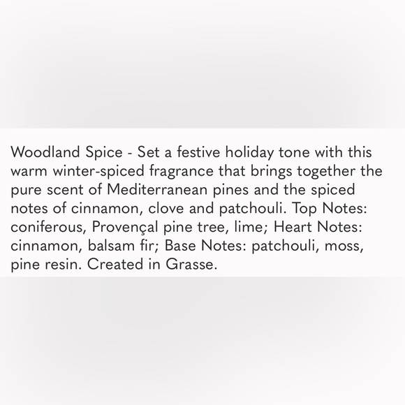 BIG Compagnie de Provence Bois E’pices 16 oz Liquid Soap Holiday in Provence - Picture 4 of 4